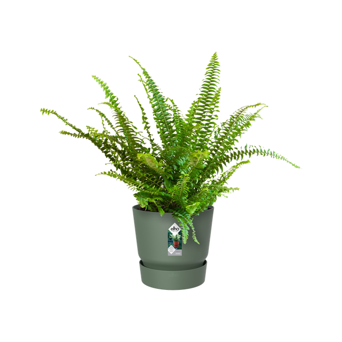 greenville easy hanger single leaf green